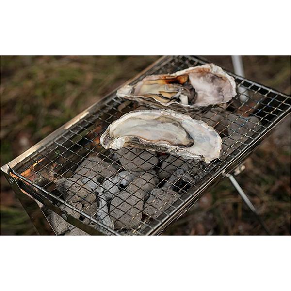 【Hisashi】WeberSmokeyJoSilver コンパクトグリル 武田コーポレーション アウトドアBBQコンロ折りたたみ シルバー