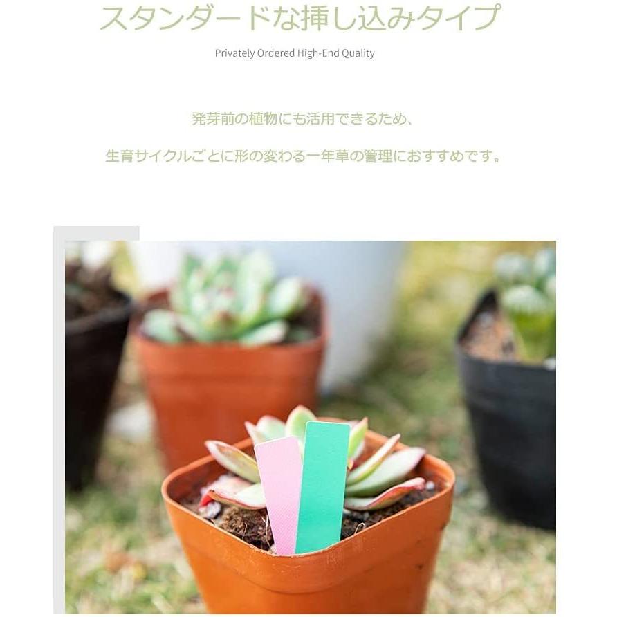 Salinr 100pcs 植物ラベル 花 69 Off 名札 再使用可能 園芸用ラベル 立型ラベル 盆栽タグ 可愛い 花ラベル 防水性 カラフル 庭 耐久性 挿入