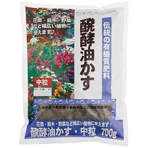 値段が激安 アネトンせき止め液 １００ｍｌ 武田 第 2 類医薬品
