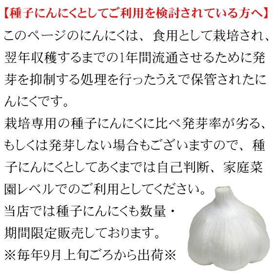 にんにく 青森 国産 2Lサイズ 5kg 訳あり C品 福地ホワイト六片