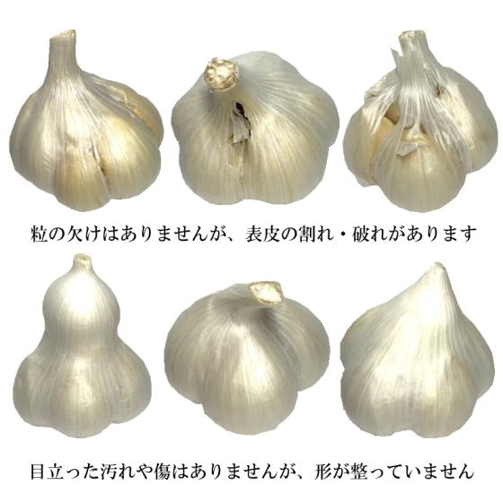 にんにく 青森 国産 2Lサイズ 10kg B品 福地ホワイト六片 : みちのく処
