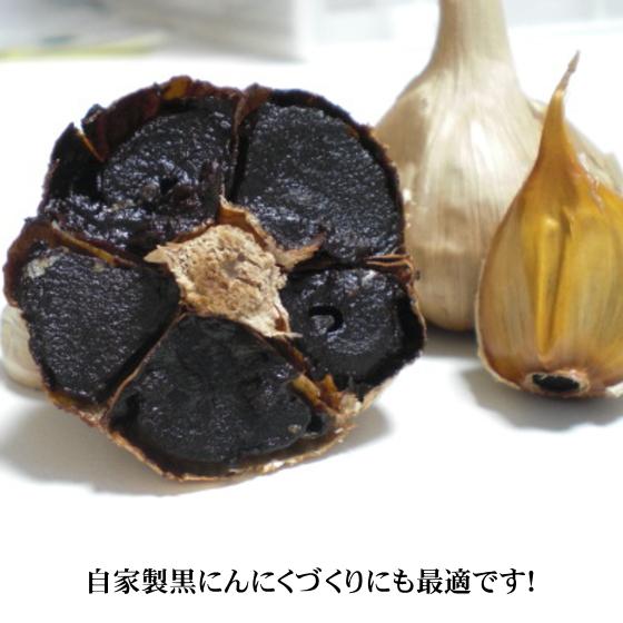 にんにく 青森 国産 2Lサイズ 4kg B品 福地ホワイト六片 : みちのく処