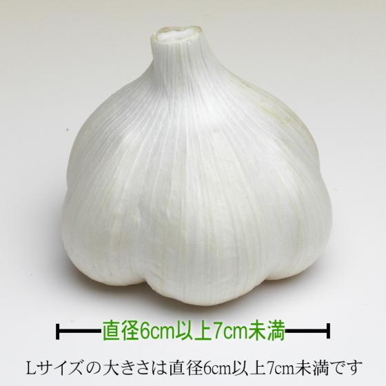 にんにく 青森 国産 Lサイズ 4kg B品 福地ホワイト六片 : みちのく処