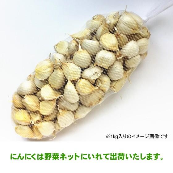 にんにく 青森 国産 訳あり バラ 5kg 送料無料 : みちのく処わっつど