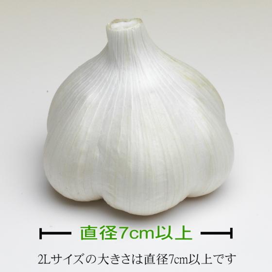 にんにく 青森 国産 2Lサイズ 10kg A品 福地ホワイト六片 : みちのく処
