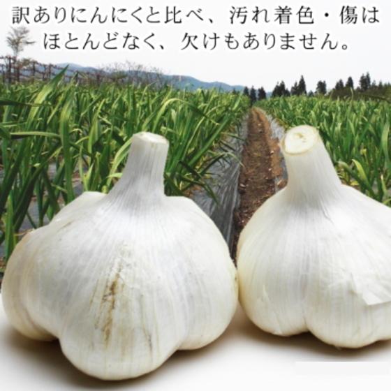 にんにく 青森 国産 2Lサイズ 4kg A品 福地ホワイト六片 : みちのく処