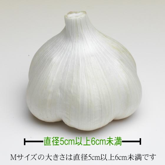 にんにく 青森 国産 Mサイズ 4kg A品 福地ホワイト六片 : みちのく処