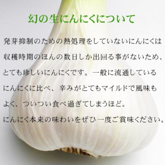 生にんにく 青森 1kg Lサイズ 国産 送料無料 福地ホワイト六片｜wattudo｜07