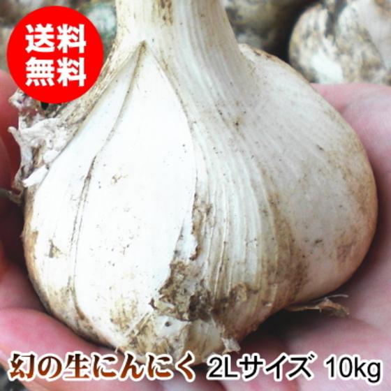 生にんにく 10kg 2Lサイズ 青森 国産 福地ホワイト六片 送料無料 | ブランド登録なし