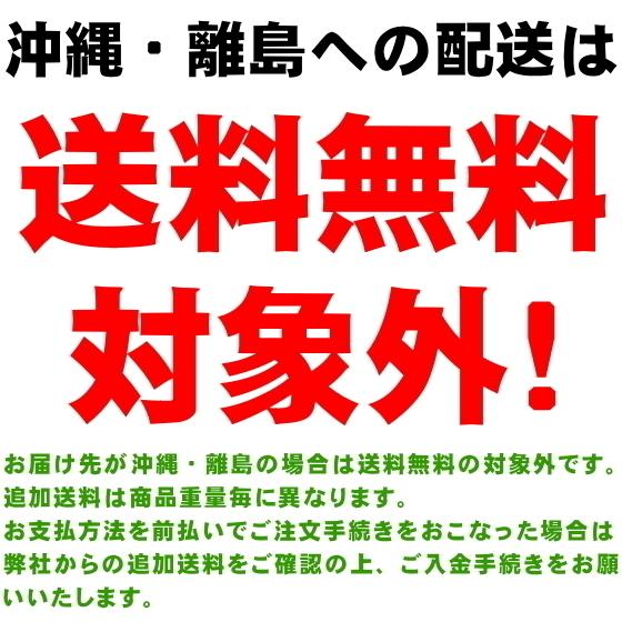 生にんにく 10kg 2Lサイズ 青森 国産 福地ホワイト六片 送料無料 | ブランド登録なし | 07