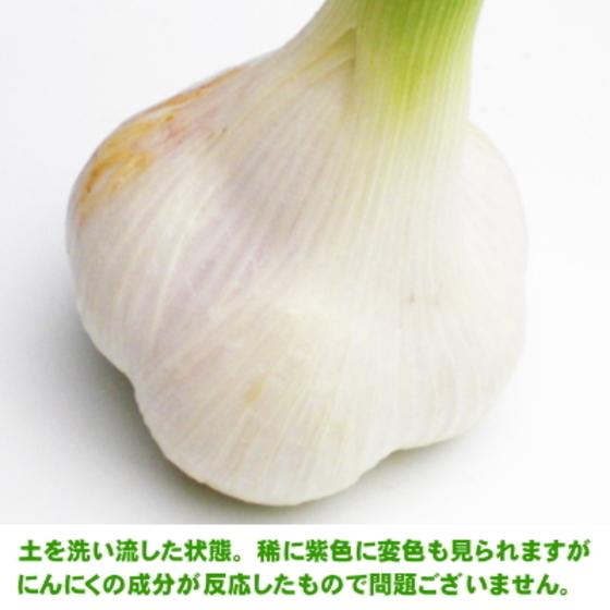 生にんにく 2kg 2Lサイズ 青森 国産 福地ホワイト六片 送料無料 | ブランド登録なし | 05