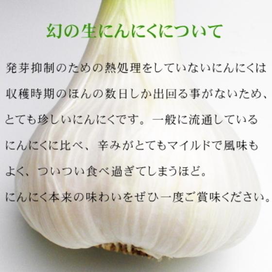 生にんにく 青森 5kg 2Lサイズ 国産 送料無料 福地ホワイト六片｜wattudo｜07