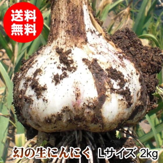 生にんにく 2kg Lサイズ 青森 国産 福地ホワイト六片 送料無料 | ブランド登録なし
