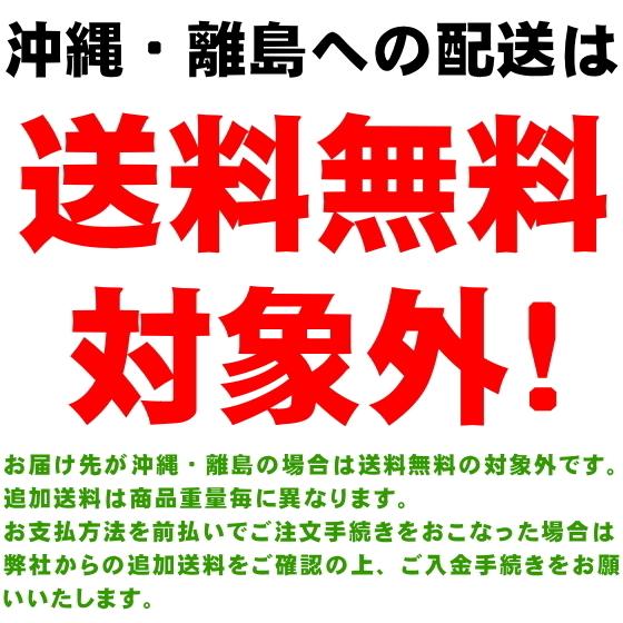 生にんにく 2kg Lサイズ 青森 国産 福地ホワイト六片 送料無料 | ブランド登録なし | 07