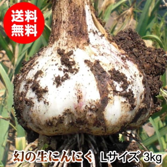 生にんにく 青森 3kg Lサイズ 国産 送料無料 福地ホワイト六片｜wattudo