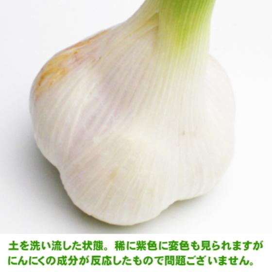 生にんにく 5kg Lサイズ 青森 国産 福地ホワイト六片 送料無料 | ブランド登録なし | 05