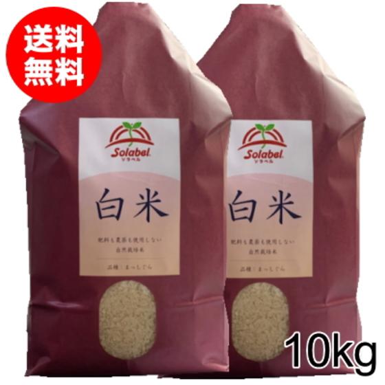 水稲うるち白米 10kg