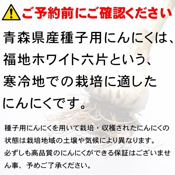 ニンニクの種 にんにく 種球 種 国産 Lサイズ 3kg 青森 福地ホワイト六