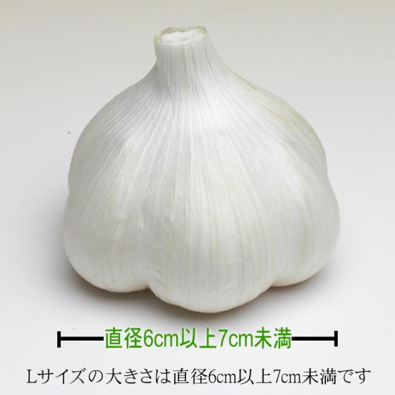 にんにく 青森 国産 Lサイズ 1kg 訳あり C品 福地ホワイト六片｜wattudo｜05