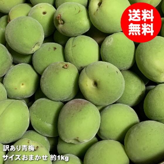 青梅 訳あり 梅酒用 1kg 梅シロップ SM混合 梅ジュース 梅漬け