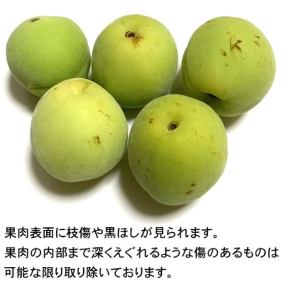 青梅 訳あり 梅酒用 1kg 梅シロップ SM混合 梅ジュース 梅漬け