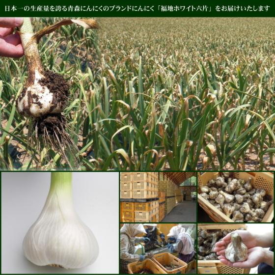 にんにく 青森 国産 2Lサイズ 4kg 訳あり C品 福地ホワイト六片