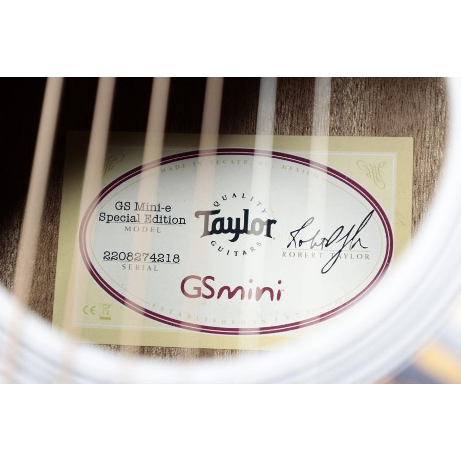 Taylor 【NAMM 発表モデル 限定カラー】GS Mini-e Translucent White 【お茶の水駅前店】の画像