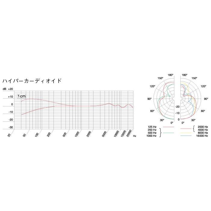 AKG C1000 S お茶の水駅前店の画像