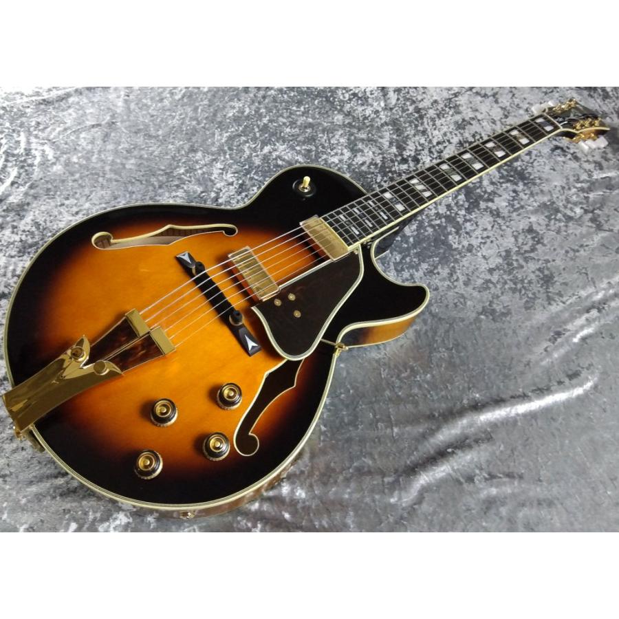 アイバニーズ GEORGE BENSON [GB10 Brown Sunburst] (エレキギター) 価格比較 - 価格.com