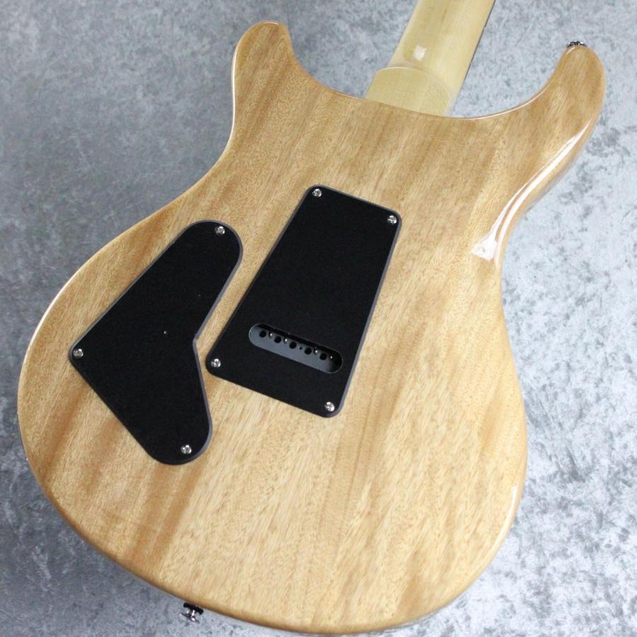 Paul Reed Smith(PRS) SE Custom 24 ~Slate Blue~ #CTI H064736 [3.35