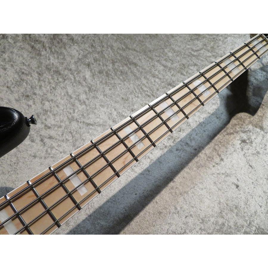 ATELIER Z【当店オーダーカラー!!】M#245 CTM -Black Silver Line