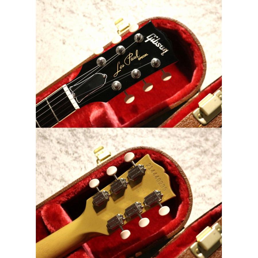 Paul Special ~TV Yellow~ 【Burgandy】 #214440235 【3.25kg】【池袋店】