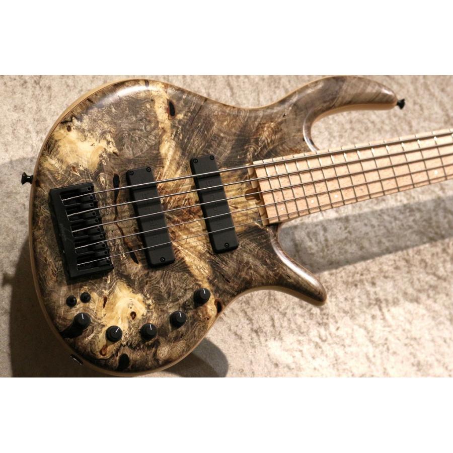 Elrick Gold Series e-volution 5 -Buckeye Burl-【3.42kg】【池袋店