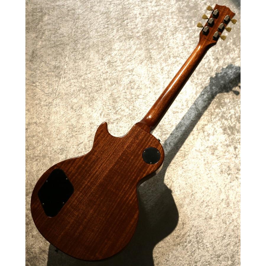 Tokai【特注!】【漆黒ハカランダ指板!】LS366S/WA-CM ~Gold Top
