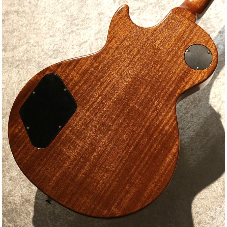Tokai【特注!】【漆黒ハカランダ指板!】LS366S/WA-CM ~Gold Top