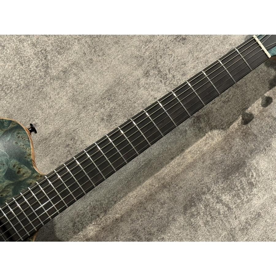 Shikagawa Guitars Sol 14.5