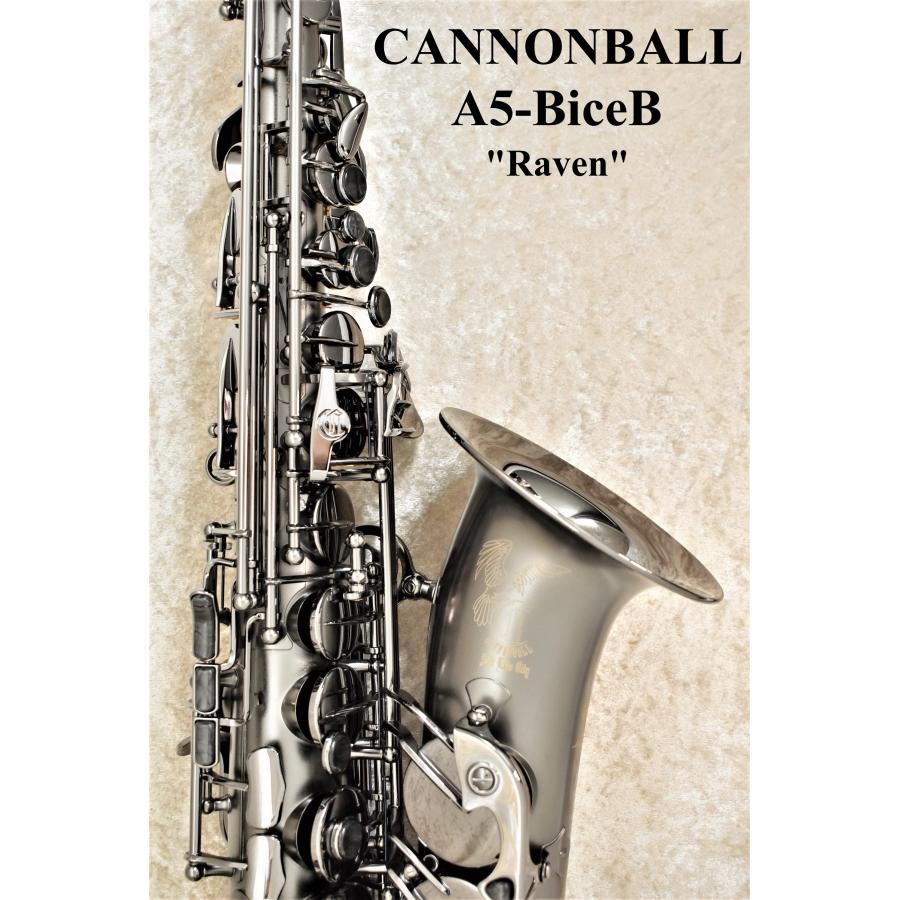 即納可能》Cannonball A5-BiceB 