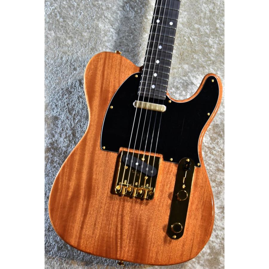 Tokai ATE135MH-G NR #230590【カタログ外スペック、マホガニー Tokai ATE135MH-G NR #230590【カタログ外スペック、マホガニー