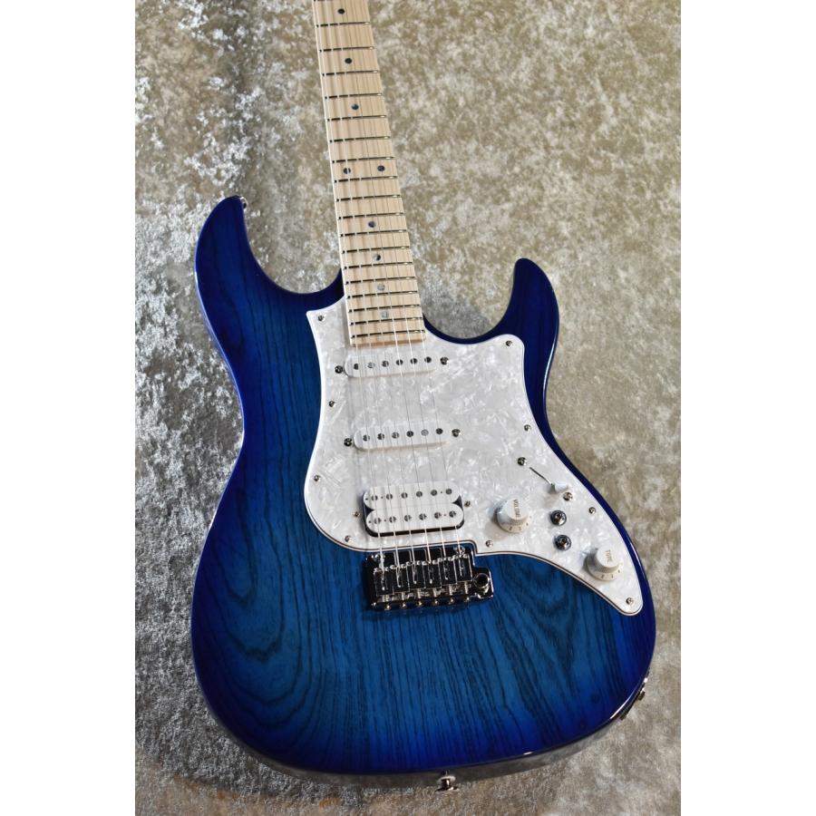 FUJIGEN(FGN) EOS2-ASH-M See-Thru Blue Burst #J230155 Blue EOS2-ASH