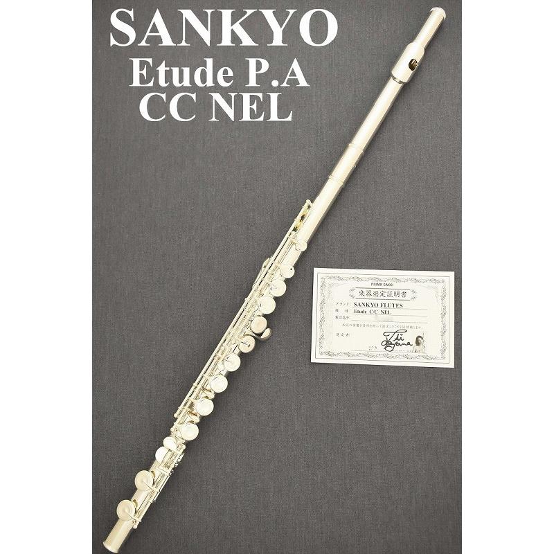Sankyo Etude P.A CC NEL 選定品【新品】【竹山愛氏選定品 