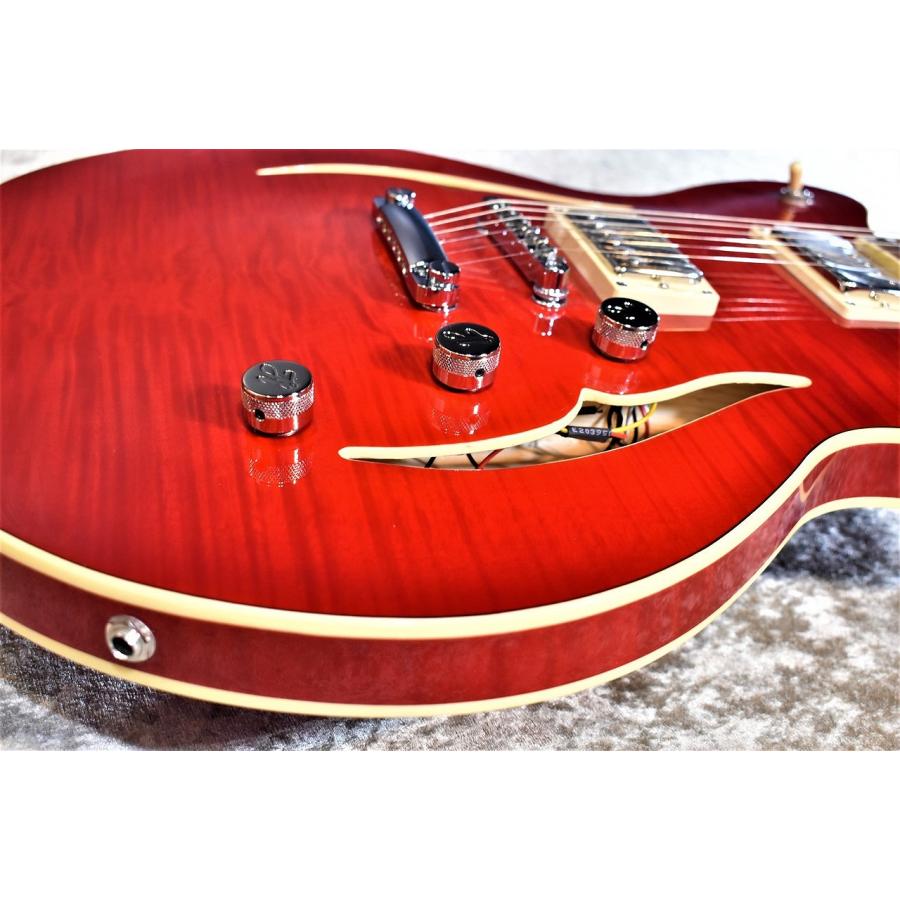 Hofner Verythin CT Special HCT-VTH-SP-R -Transparent Red- 指版補修