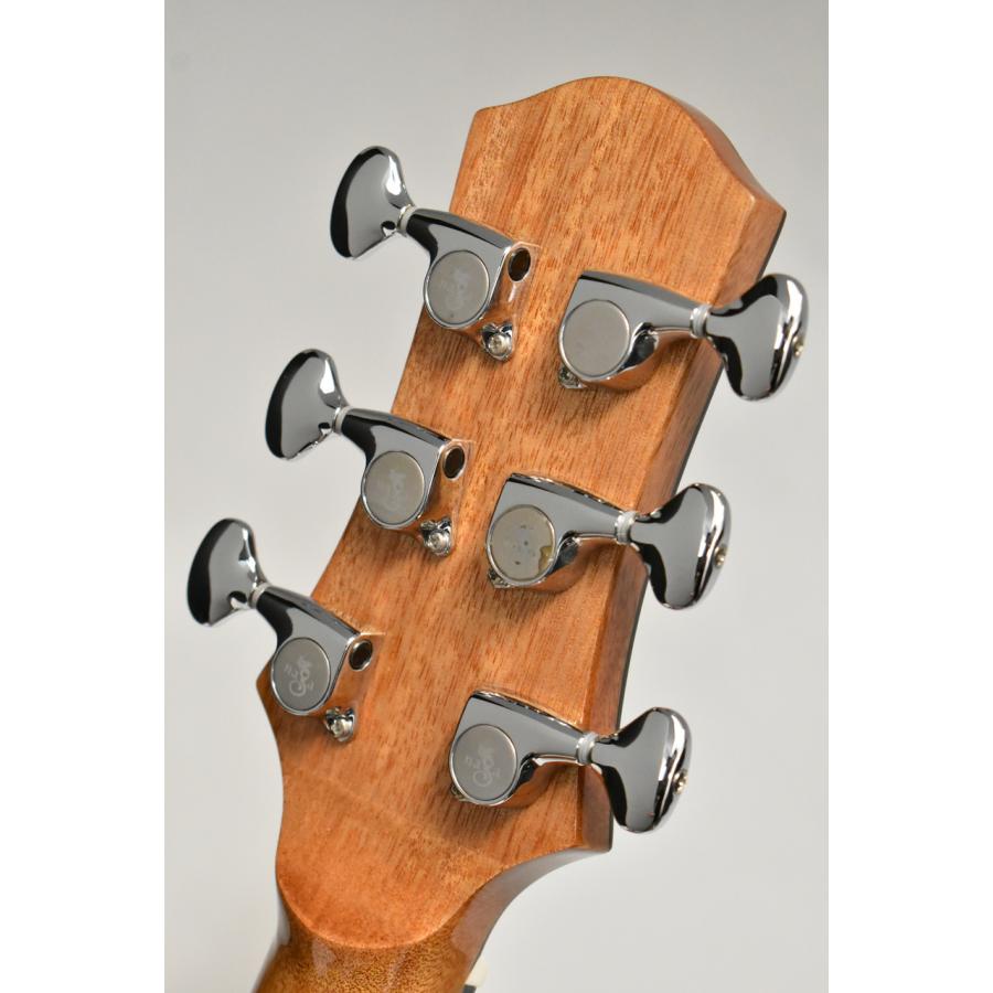 Guitars S-10GS 【イングルマンスプルース×サペリ/トップ単板】【横浜店】 【Sparkle】
