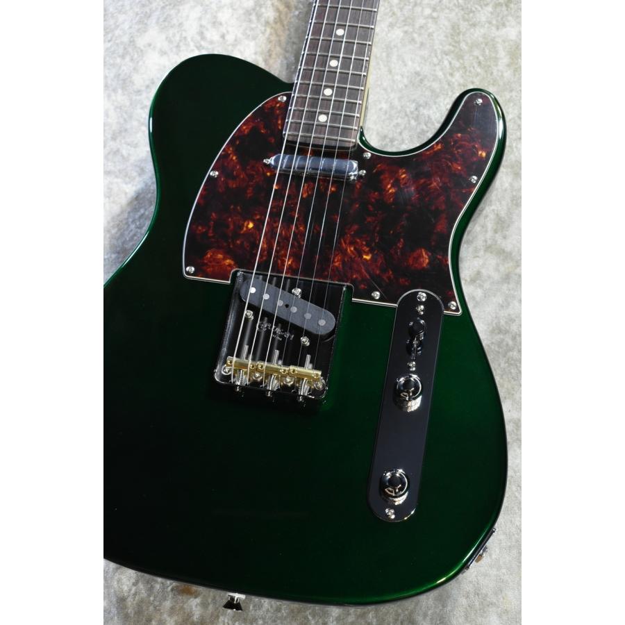 FUJIGEN(FGN) NTE100RAL Candy Apple Green #E250084【3.45kg】【日本