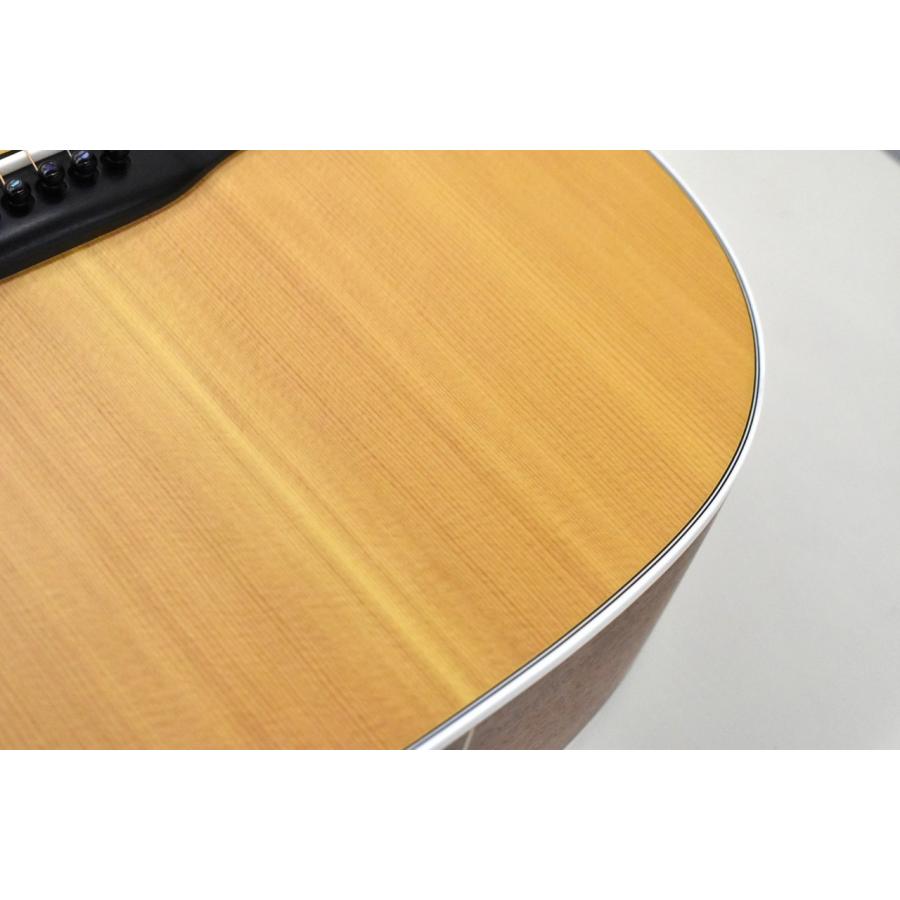 VINCENT 【クロサワ横浜店】【チョイ傷特価】【635mmスケール】VN-3 Standard #90468【48回無金利分割可能】の画像
