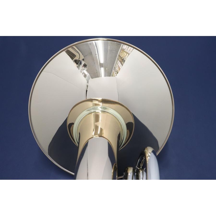 Wenzel Meinl 205GB【お取り寄せ】【新品】【ホルン】【ヴェンツェルマインル】【フルダブル】【ゴールドブラス】【金管楽器専門店】【ウインドお茶の水】の画像