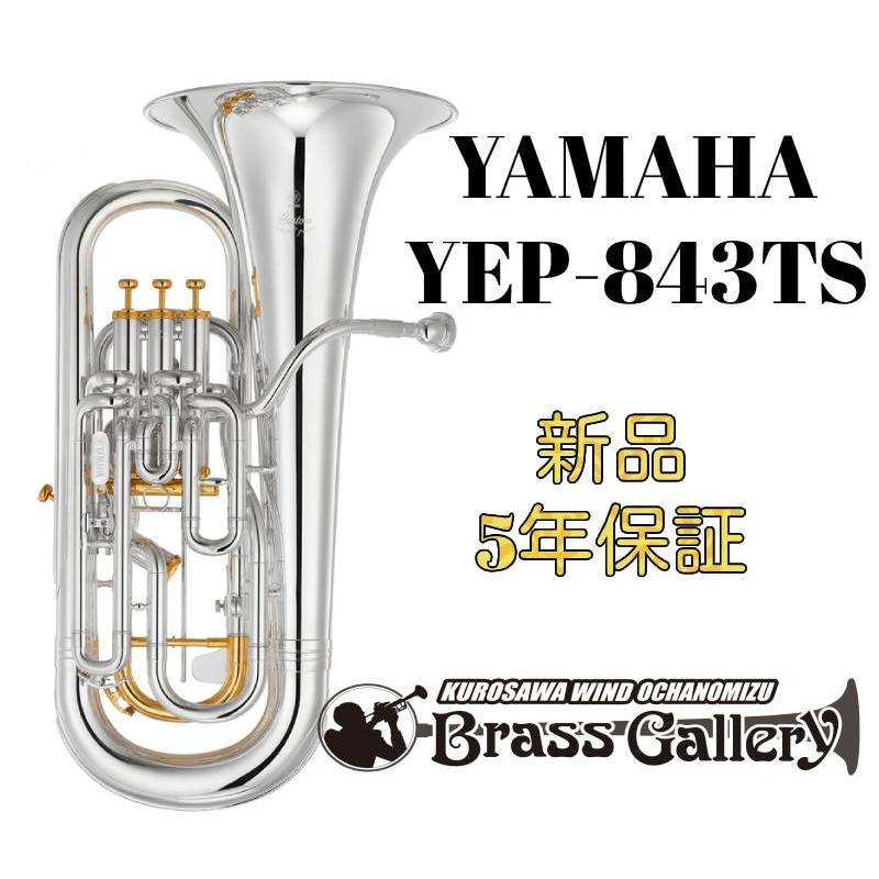 YAMAHA（ヤマハ） YAMAHA YEP-843TS【特別生産】【お取り寄せ】【新品
