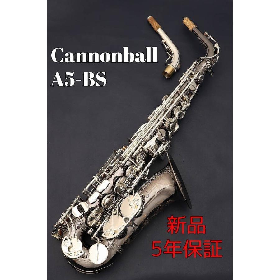 Cannonball A5 Bs キャノンボール アルトサックス ビックベルストーンシリーズ ウインドお茶の水サックスフロア 新品 14 クロサワ楽器65周年記念shop 通販 Yahoo ショッピング