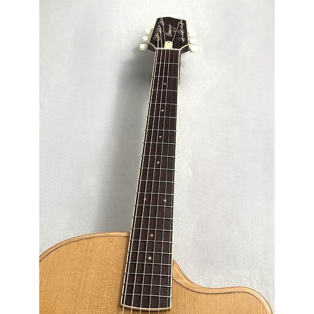 L.R.Baggs 【薄胴エレアコ】AEG-1 TOR 【Hi-Fi Duet 搭載】【G-CLUB 渋谷店】の画像