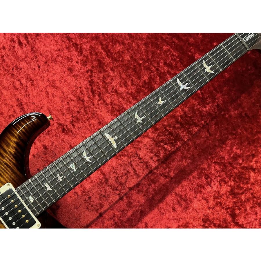Paul Reed Smith(PRS) Custom 24 10 Top -Black Gold Wraparound Burst