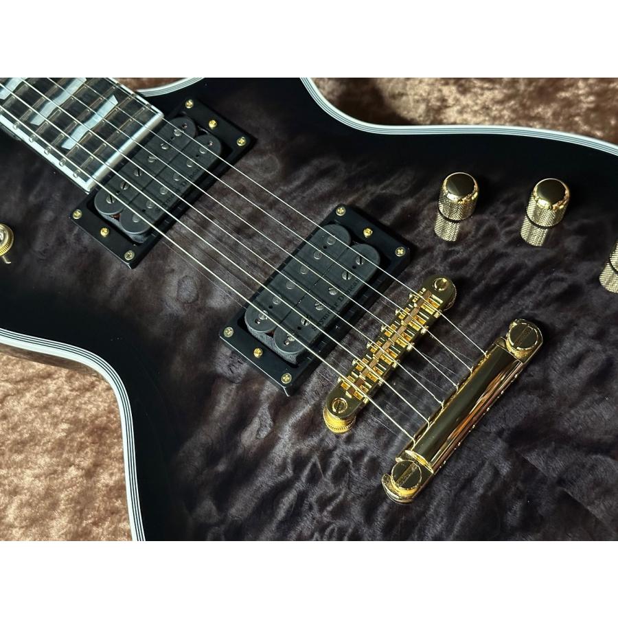 EDWARDS E-EC-QM-CTM #5130253【ショップ限定モデル】【アウトレット